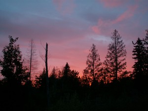 Sunset over green belt