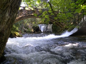 My Favorite Local Park