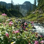 mountain hiking
