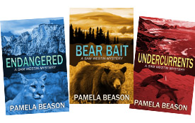 NEW Sam Westin Series