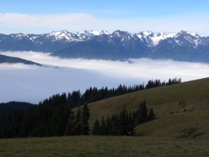 Valleys in Mist in Olympic Natl Park