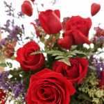 roses