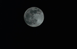 Night sky